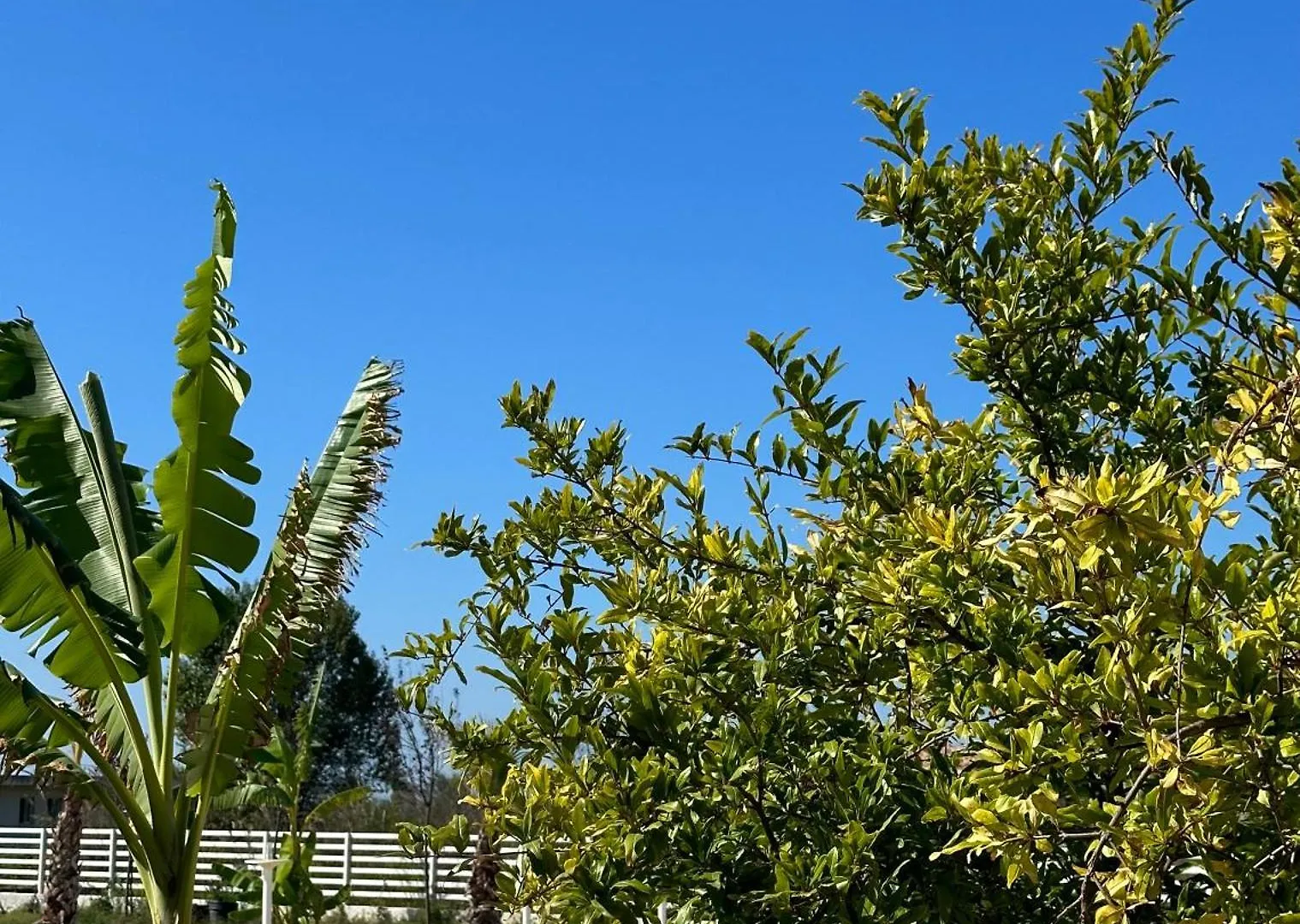 Tea Residence, Gjiri I Lalzit Villa Durres